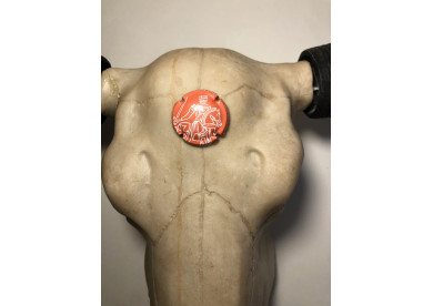 Isabella - gulabi-bindi-2017-2