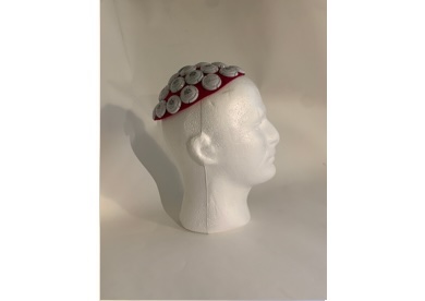 Isabella - pileolus-2014-2014